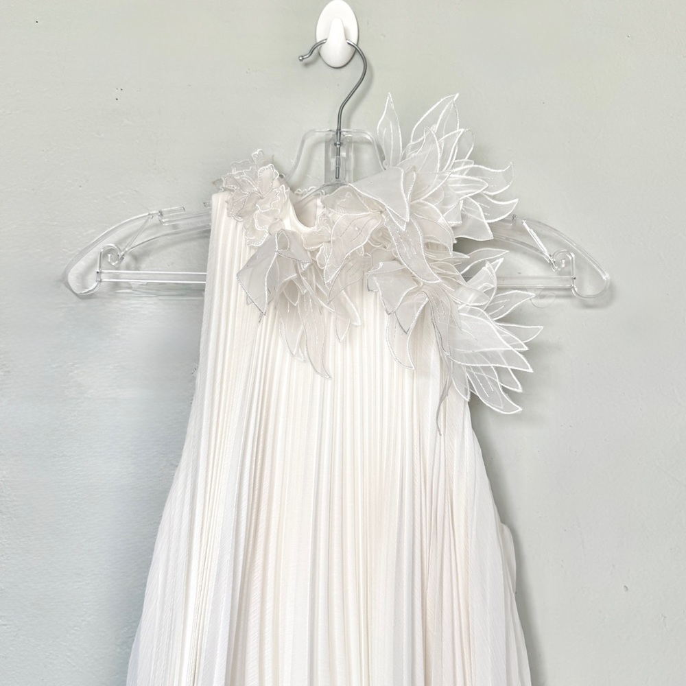 Tadashi Shoji Ivory Pleated Trapeze Chiffon Midi Dress Size XS - Picture 3 of 13